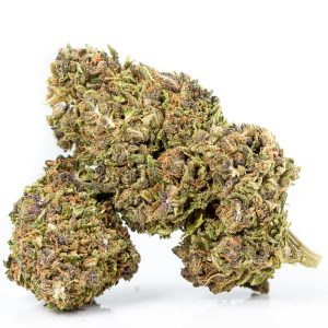 Wesley's Wish by East Fork Cultivars | Green Box